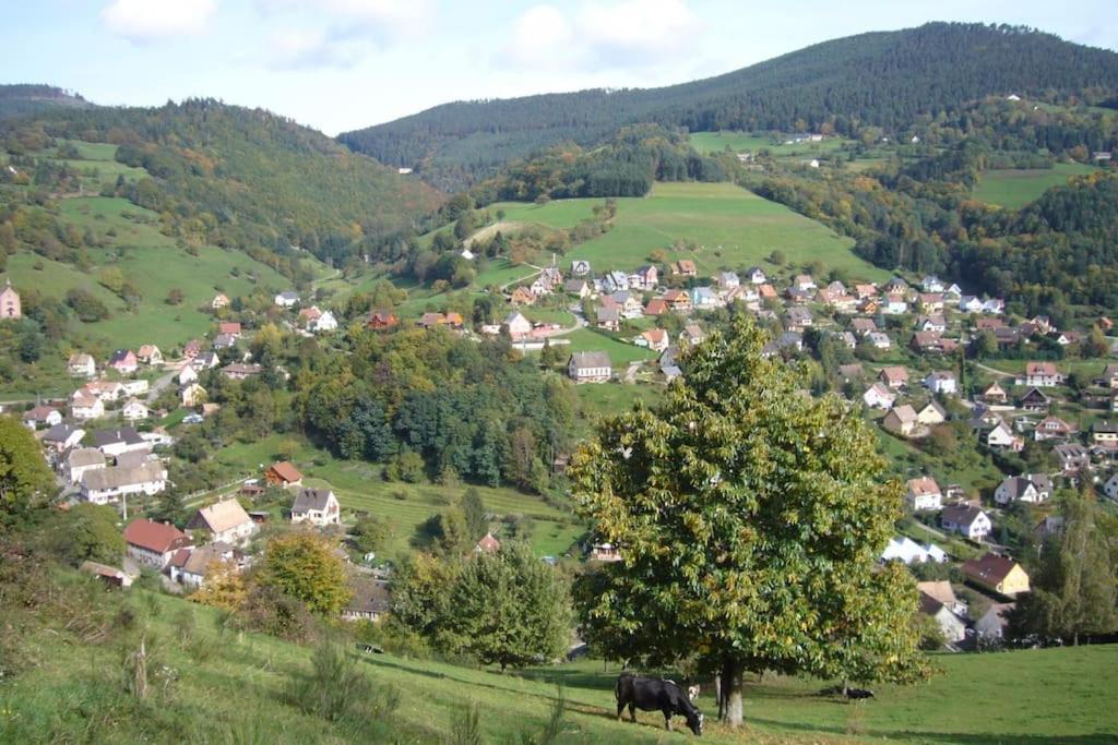 Yourte Des Verts Bois Fréland Buitenkant foto